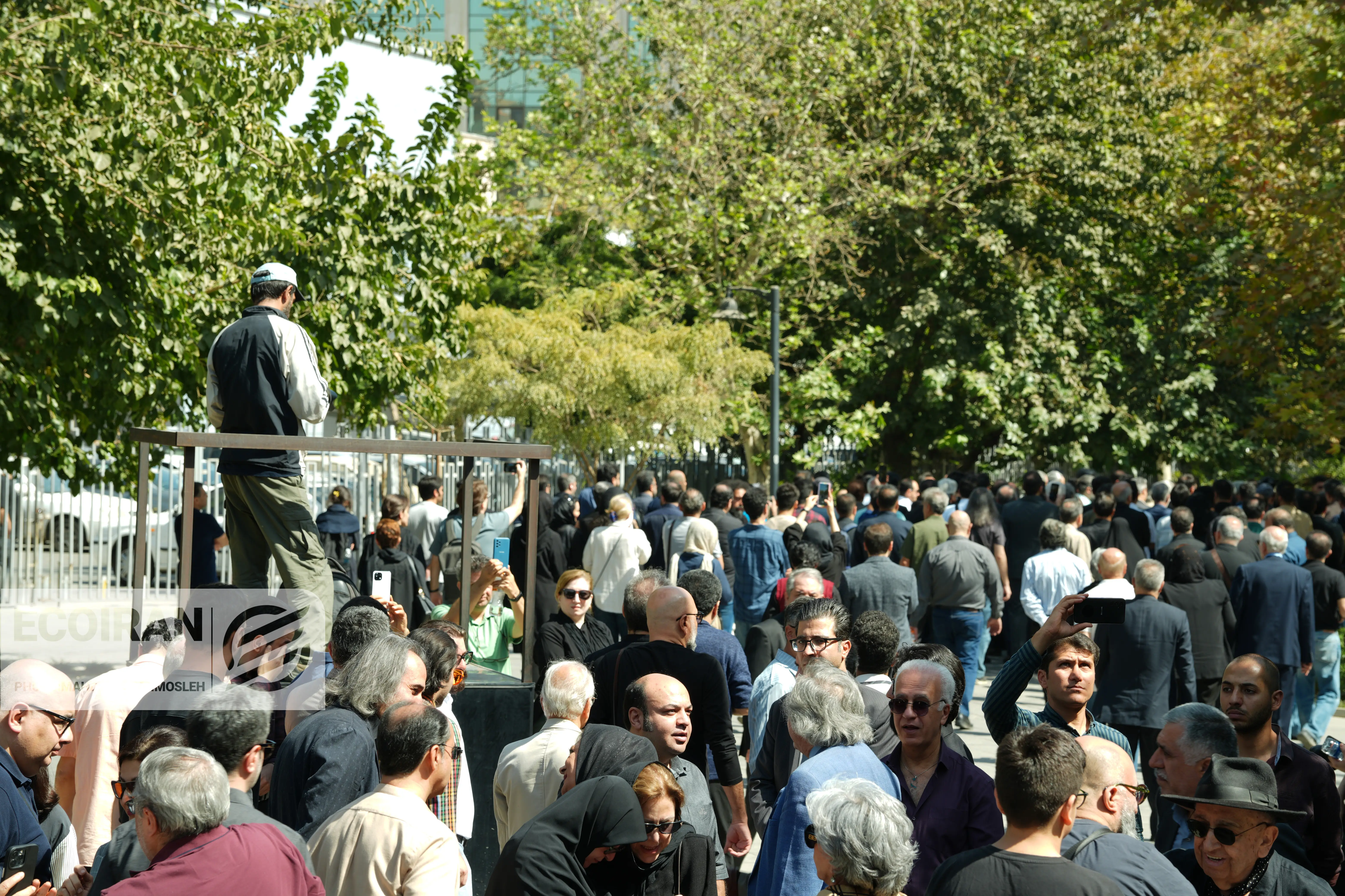 تشییع احمد پژمان