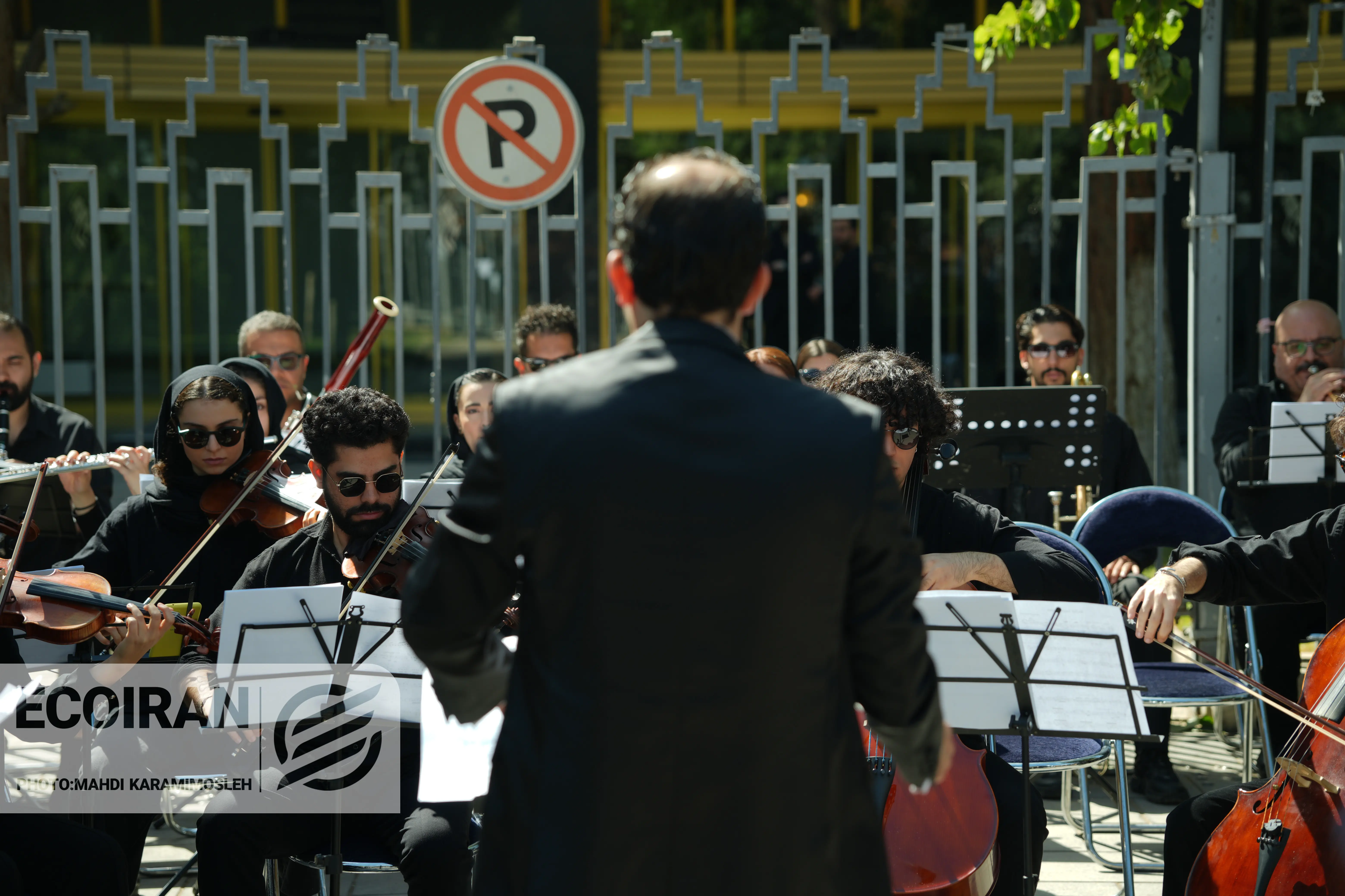 تشییع احمد پژمان