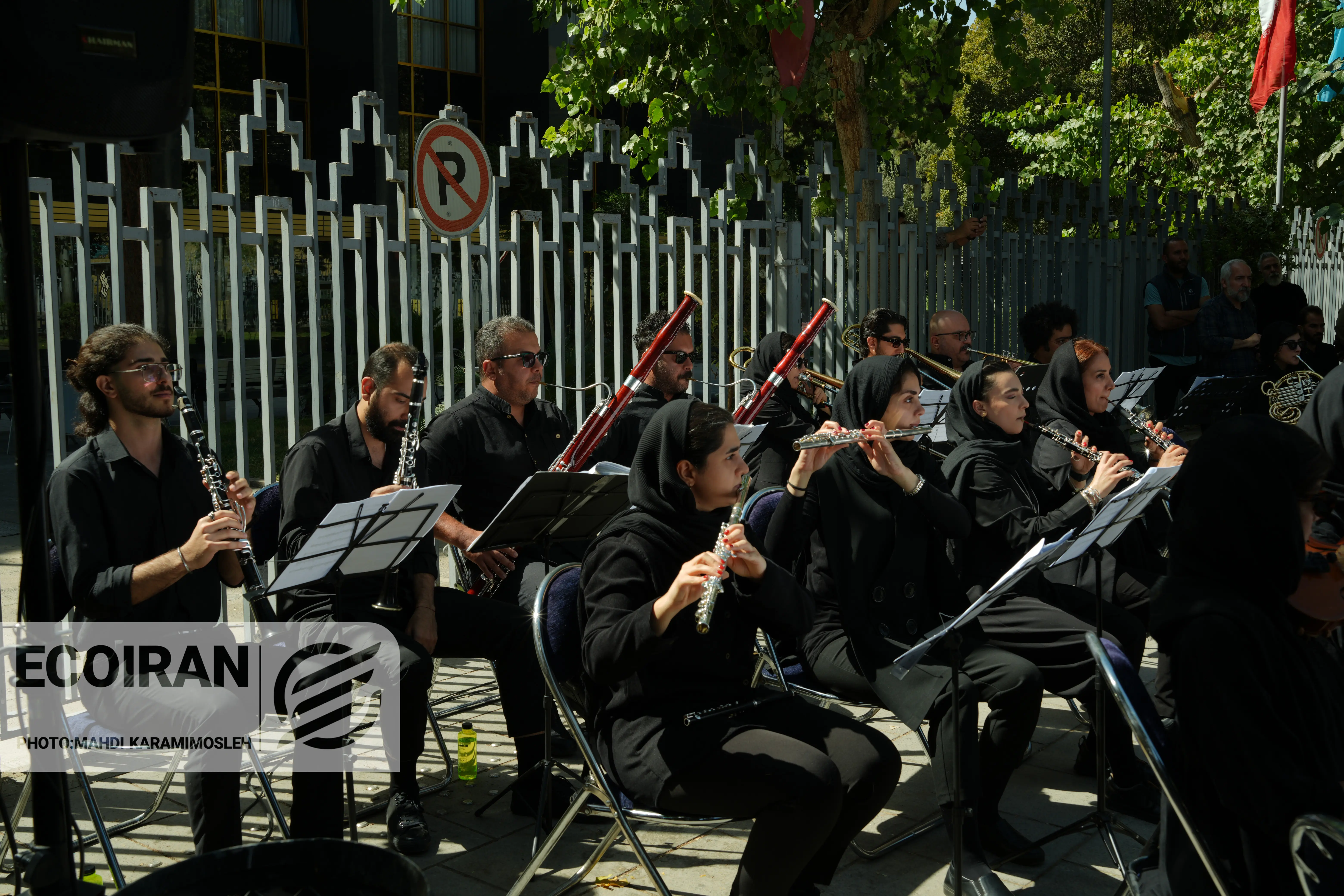 تشییع احمد پژمان