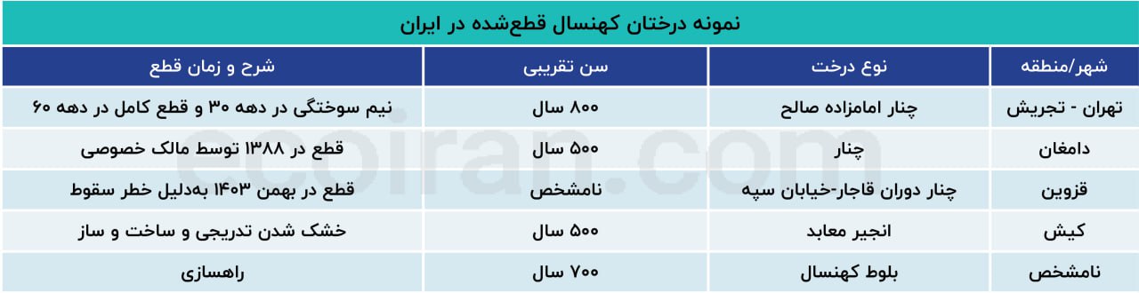 قطع درختان 