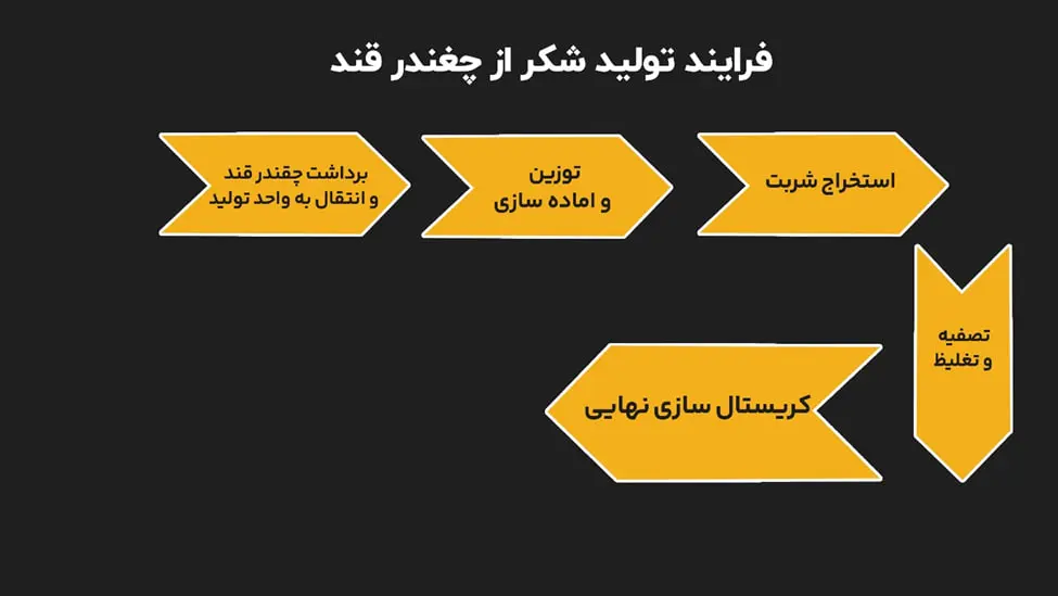 photo_2026-02-26_12-35-53