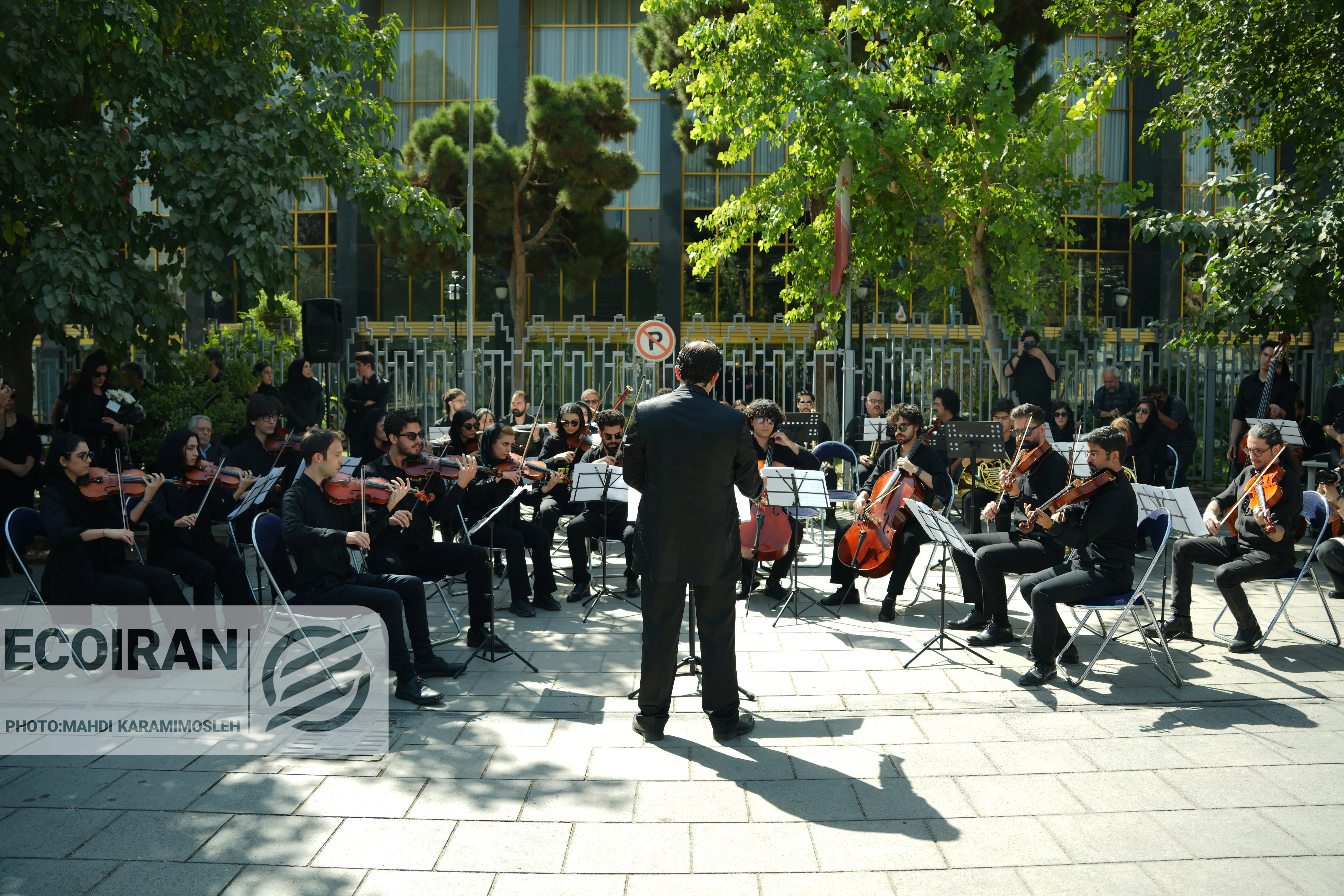 تشییع احمد پژمان