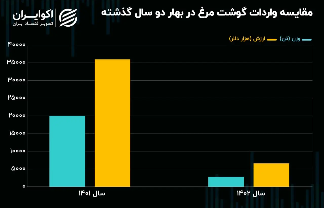 مرغ 2