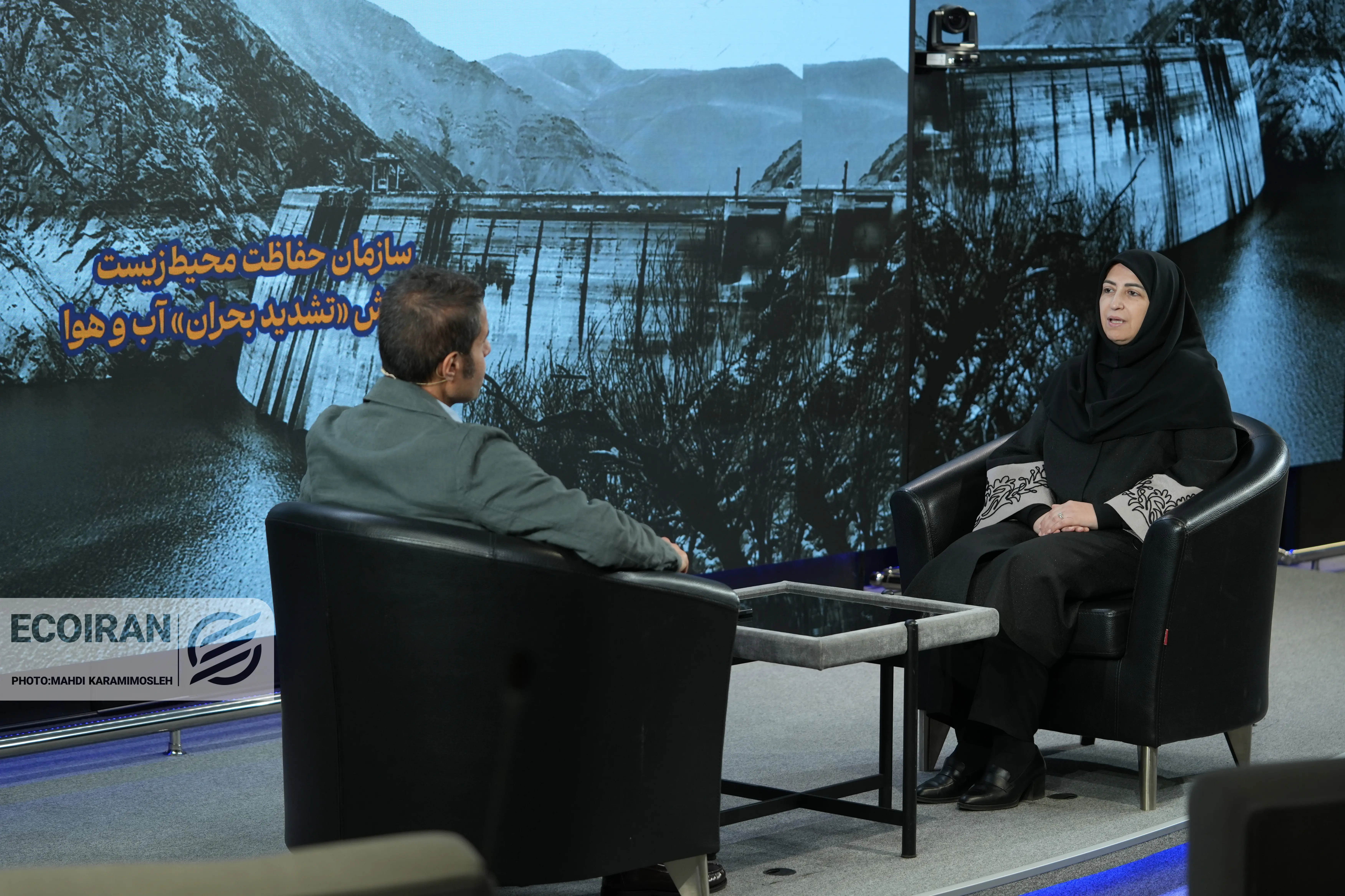 شینا انصاری