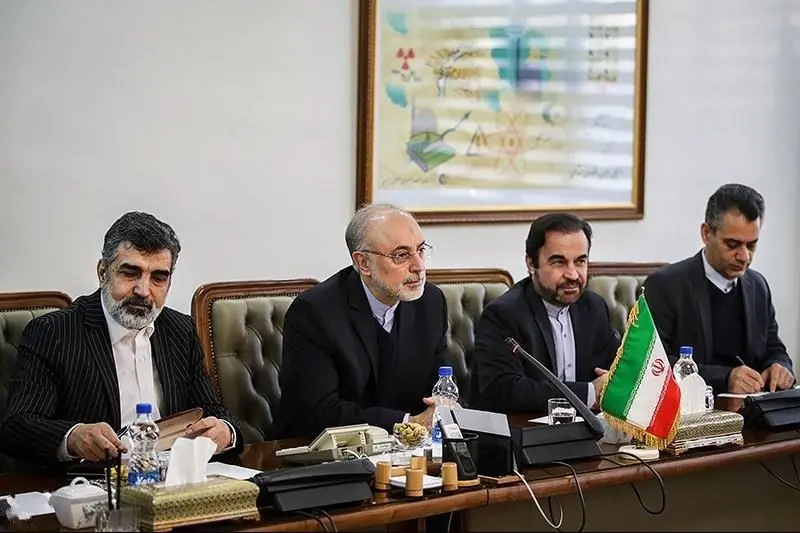 IAEAs_Amano_in_Tehran_for_Talks