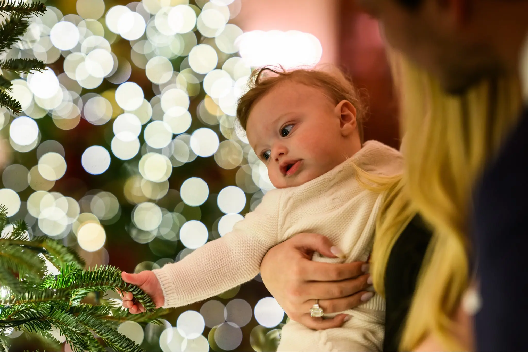 photo_۲۰۲۵-۱۲-۲۵_۰۸-۰۸-۱۴