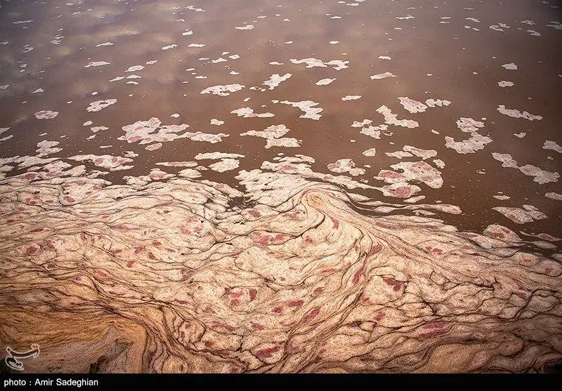 photo_۲۰۲۵-۱۲-۲۱_۱۰-۰۱-۰۷