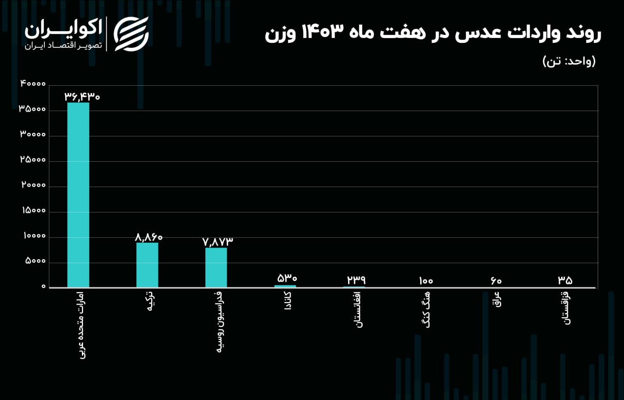 واردات عدس