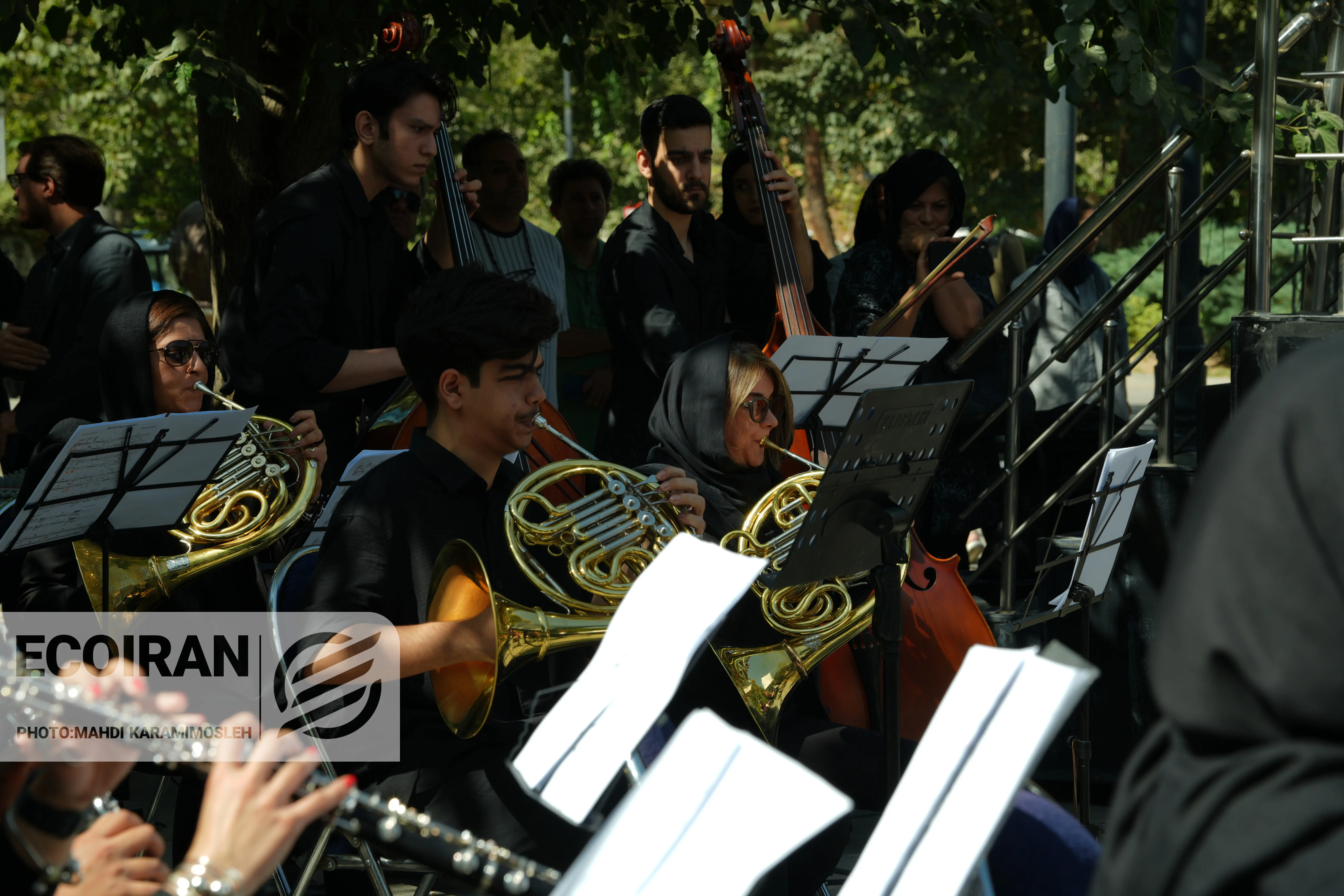 تشییع احمد پژمان