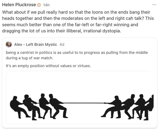 هلن پلاک رز