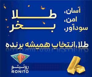 فناوری مالی نوژا (رونیتو)