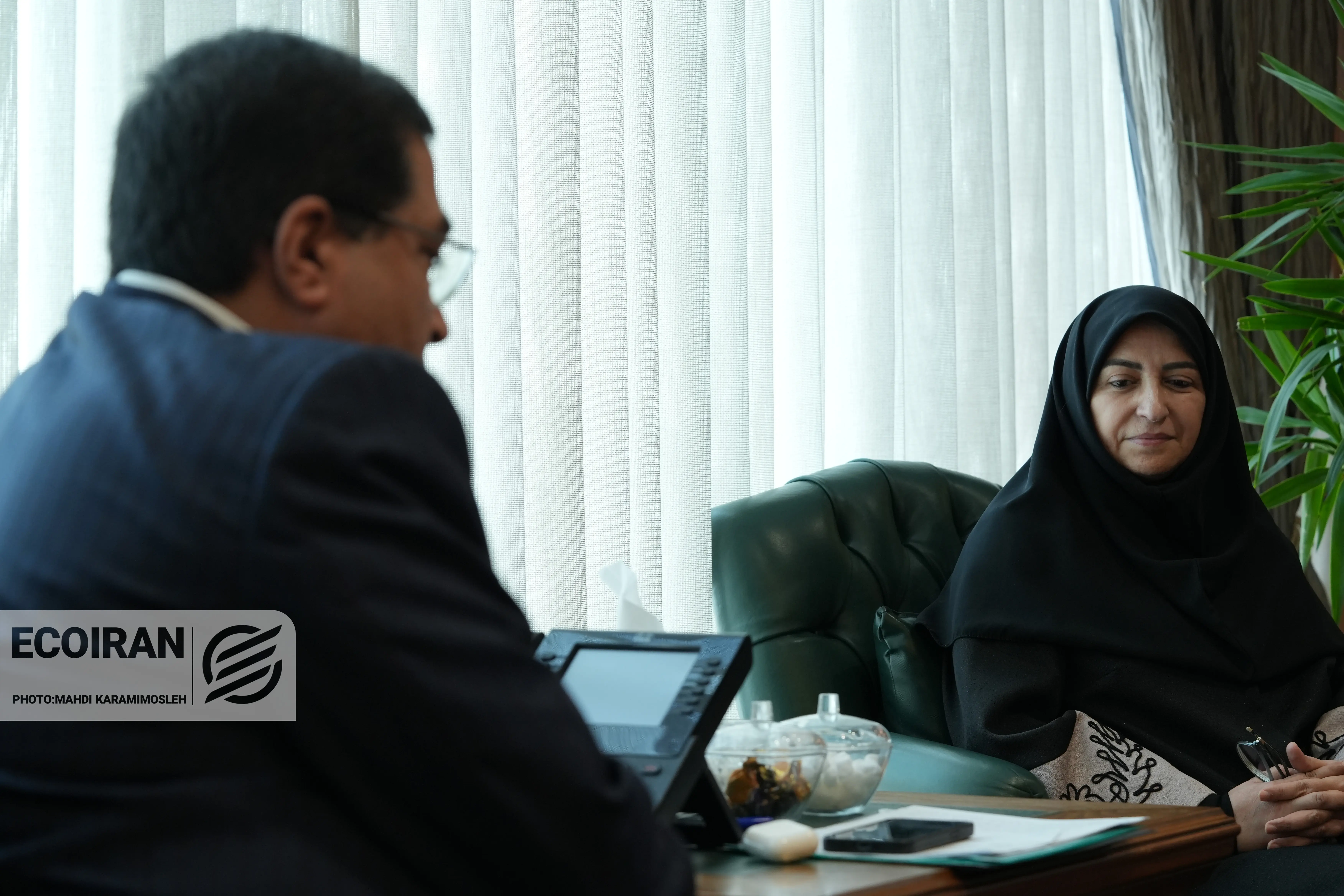 شینا انصاری