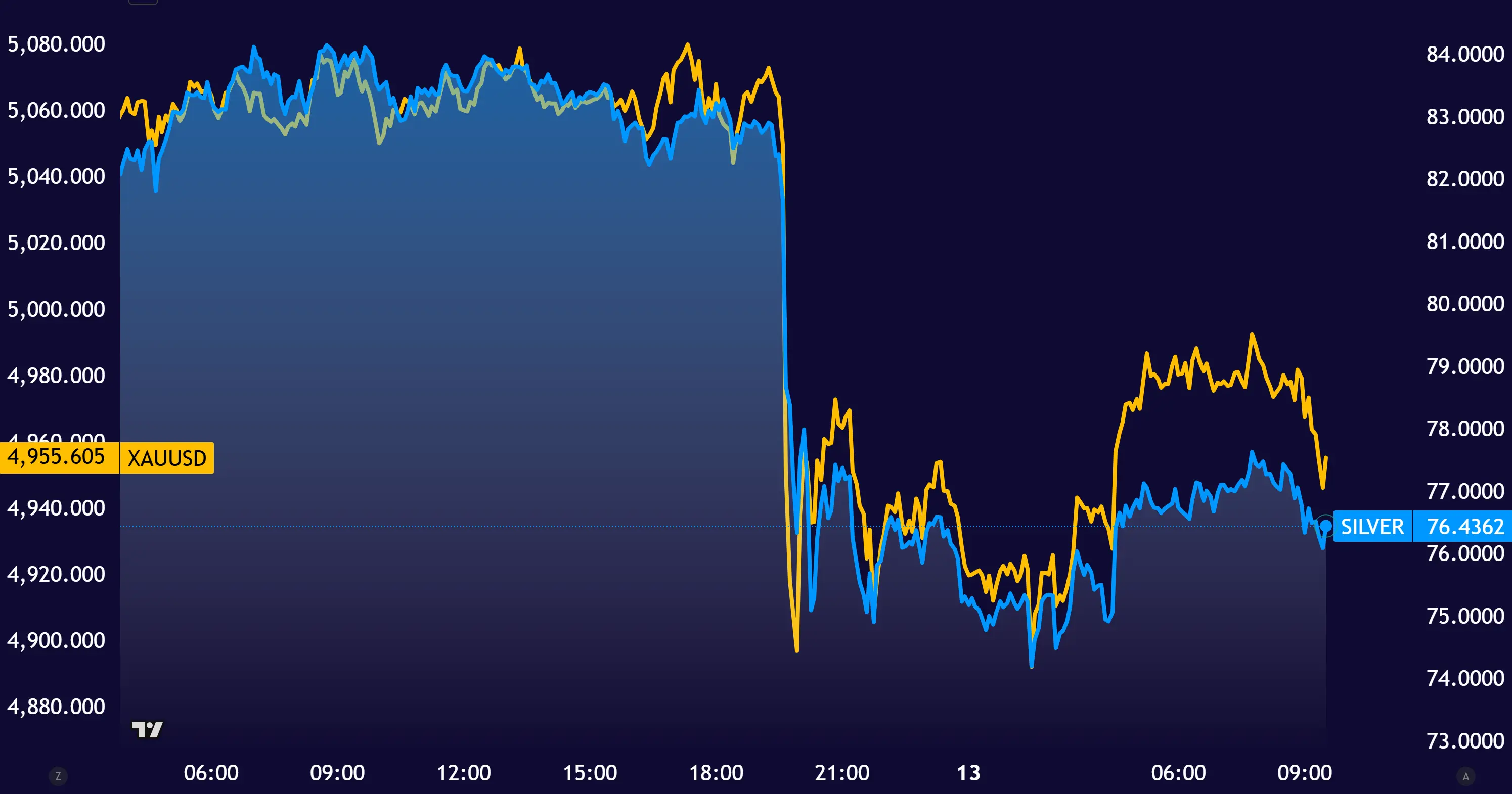 image_2026-02-13_09-33-37