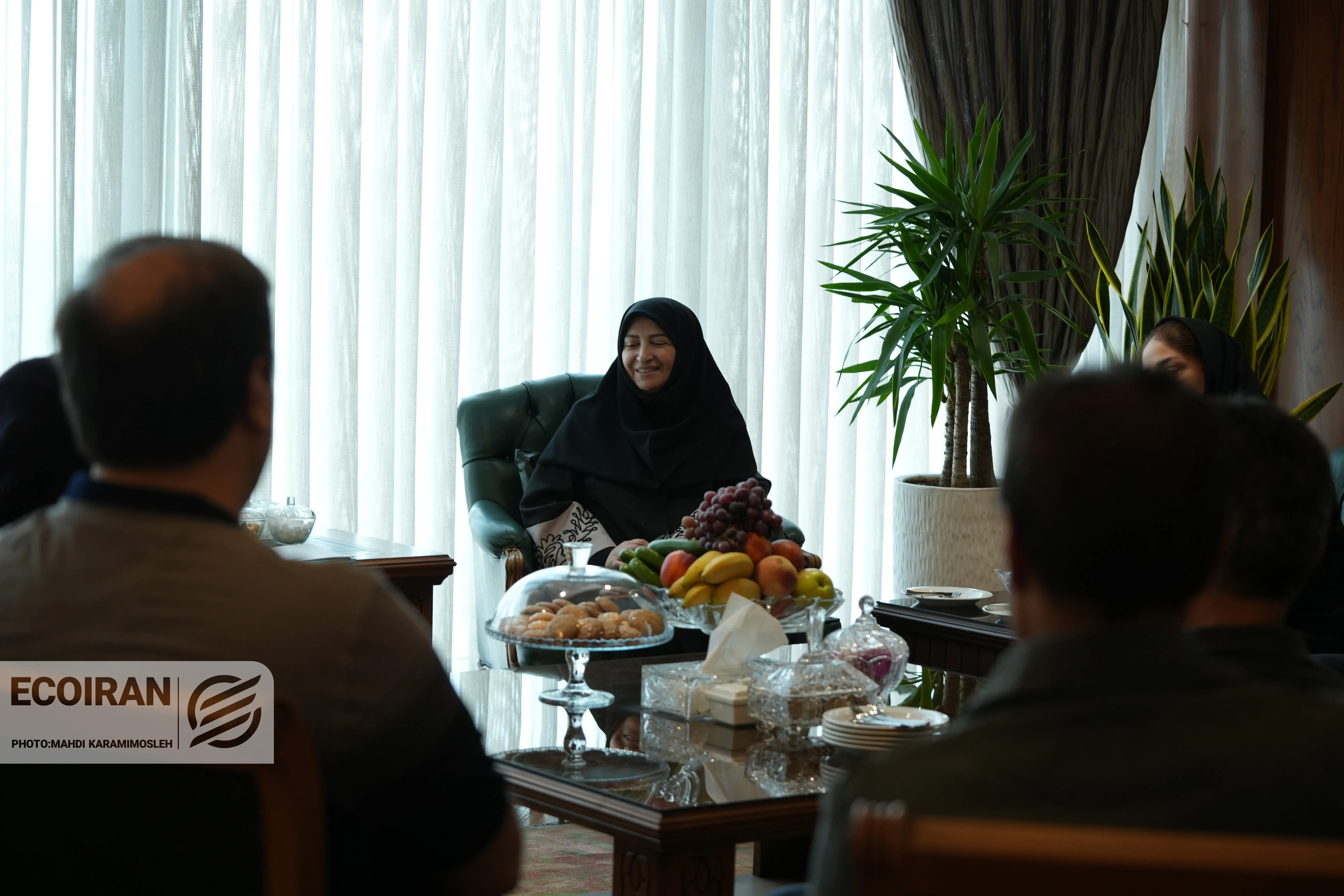 شینا انصاری