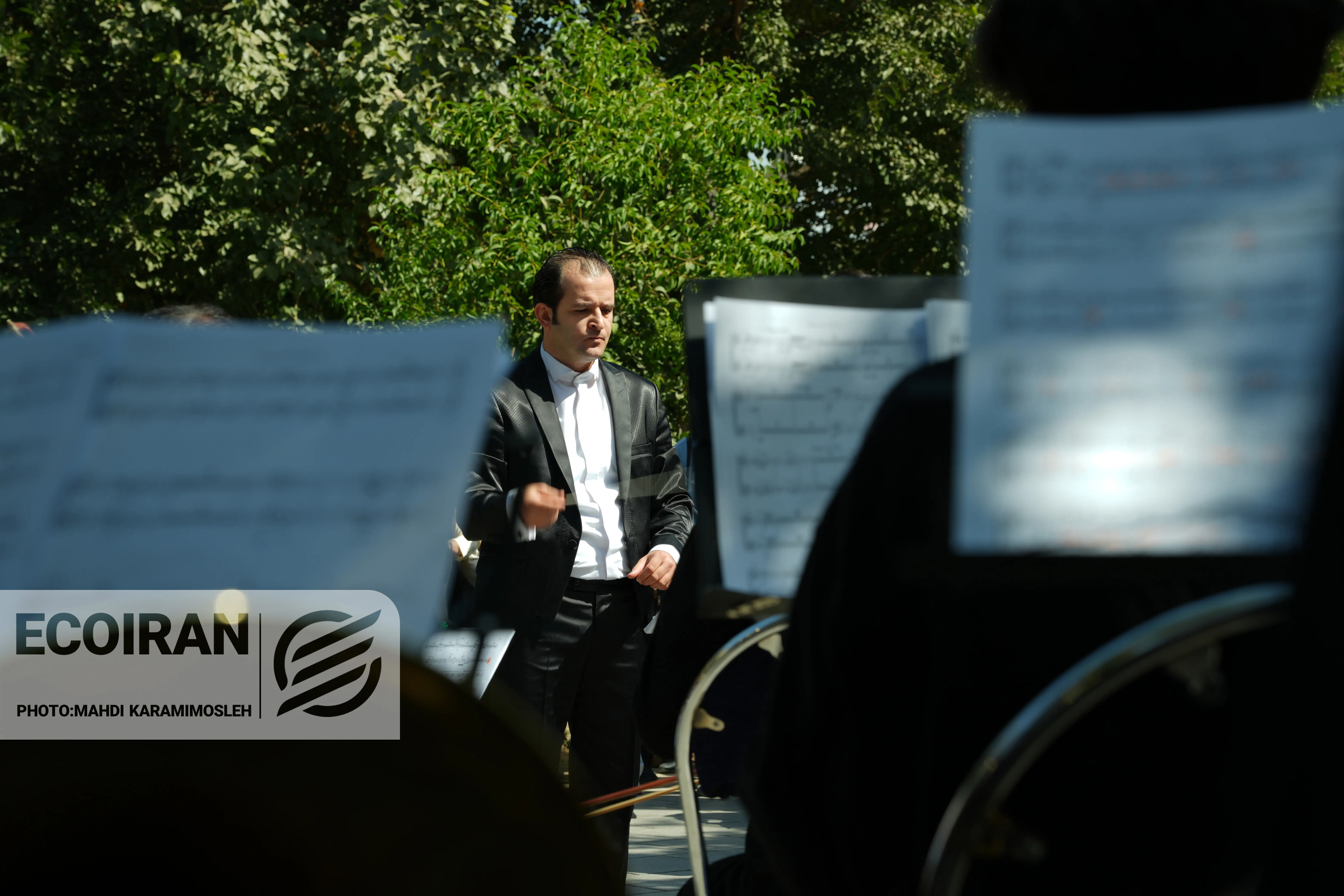 تشییع احمد پژمان