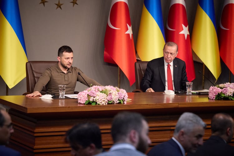 رجب طیب اردوغان ولودیمیر زلنسکی