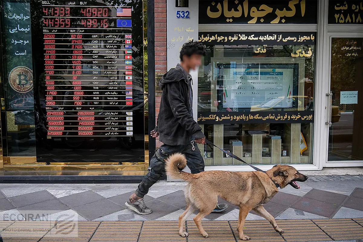 بازار ارز بازار سکه دلار صرافی