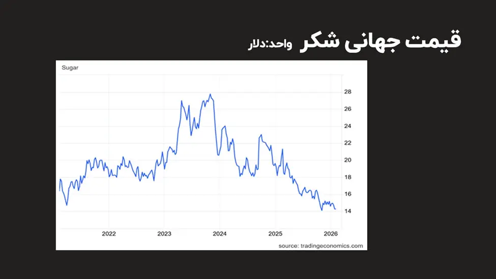 photo_2026-02-26_12-36-11