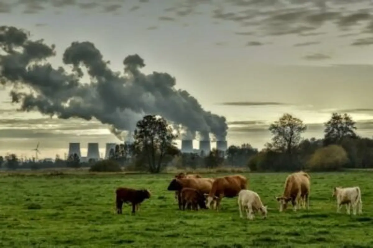 آلودگی هوا 5