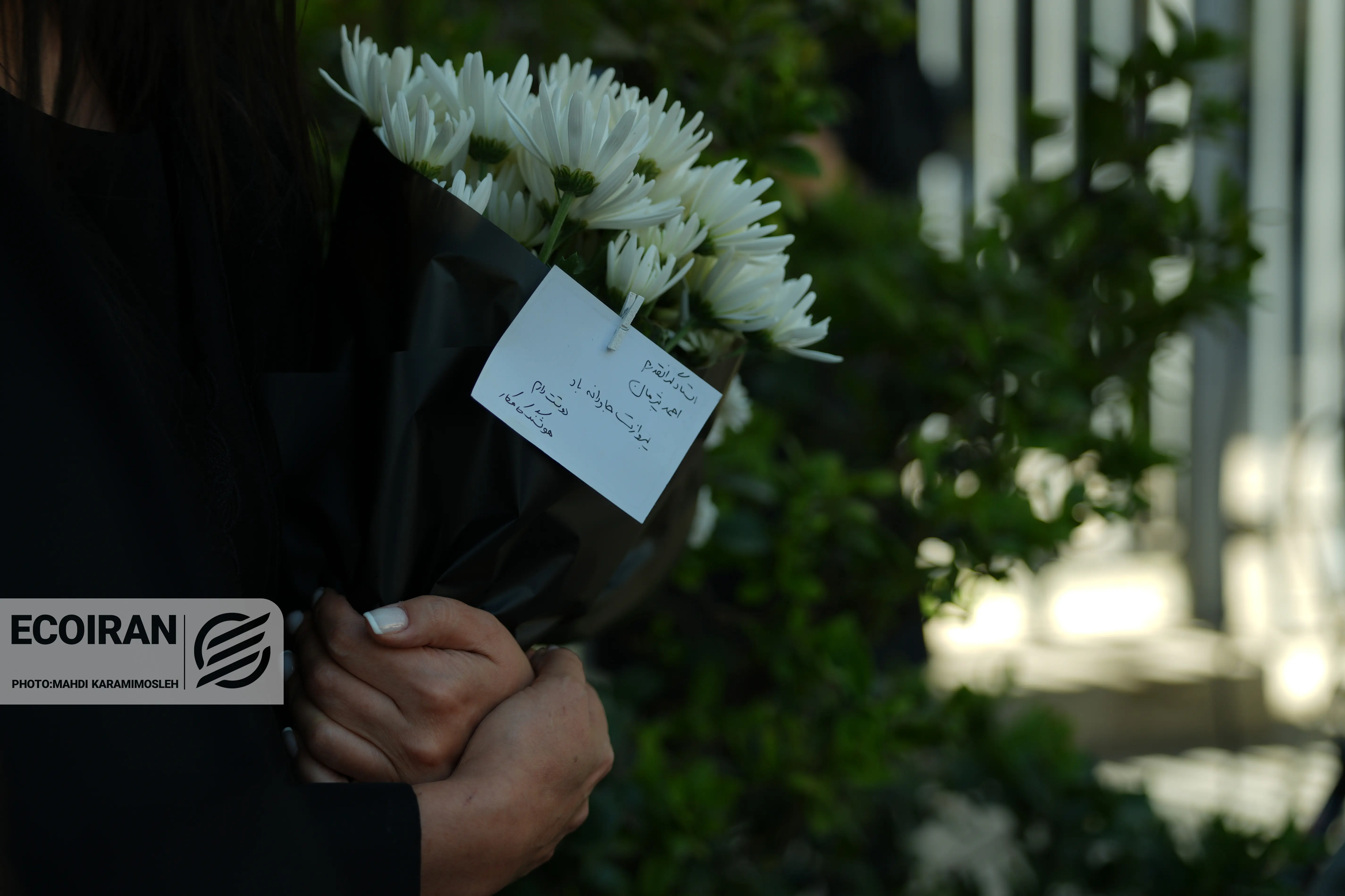 تشییع احمد پژمان