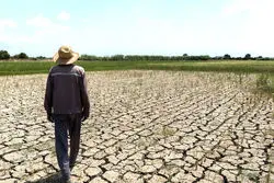 بخشش جرائم و امهال وام کشاورزان خسارت دیده حوادث غیر مترقبه  