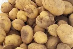خبر مهم درباره بازار سیب‌زمینی؛ قیمت هر کیلو اعلام شد