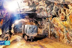 درخشش ابدی طلای زرد 