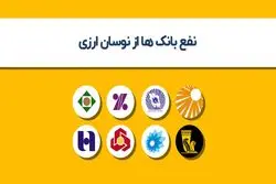 نفع بانک ها از نوسان ارزی