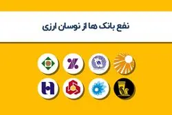 نفع بانک ها از نوسان ارزی