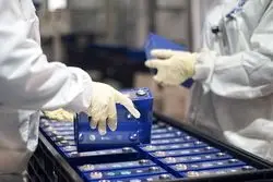 جهشی مجدد در بازار لیتیوم