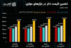 لیدر ناآرامی های بازار ارز/رفتار معنادار نرخ دلار در بازارهای موازی 