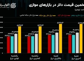 لیدر ناآرامی های بازار ارز/رفتار معنادار نرخ دلار در بازارهای موازی 