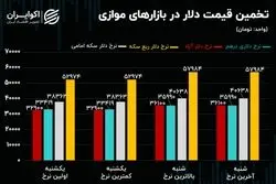 لیدر ناآرامی های بازار ارز/رفتار معنادار نرخ دلار در بازارهای موازی 