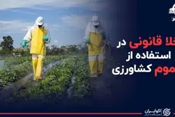 مشکل سموم کشاورزی ایران چیست؟