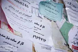 نقشه اشتغال ایرانیان از بازار کار ۱۴۰۴ چه می‌گوید؟