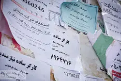 پشت پرده یک تناقض جدی در بازار کار ایران
