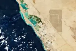 استراتژی جسورانه عربستان برای تسخیر بازار هوش مصنوعی با انرژی ارزان و مراکز داده پیشرفته