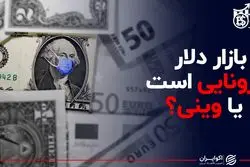 بازار دلار کرونایی است یا وینی؟