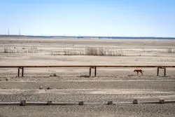 تالاب‌های ایران در حال فراموشی؛ ۹ تالاب معروف ایران دیگر قطره‌ای آب ندارند