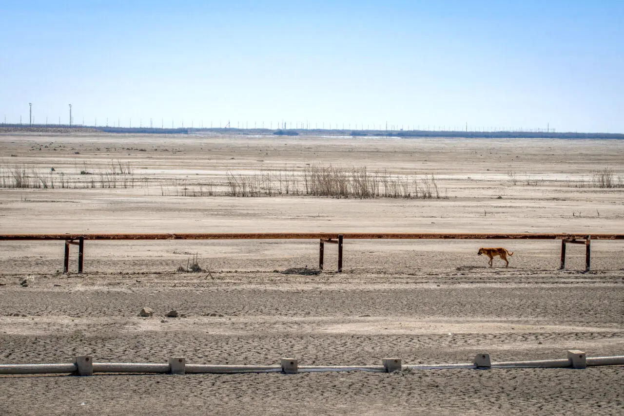 تالاب‌های ایران در حال فراموشی؛ ۹ تالاب معروف ایران دیگر قطره‌ای آب ندارند