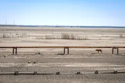 تالاب‌های ایران در حال فراموشی؛ ۹ تالاب معروف ایران دیگر قطره‌ای آب ندارند