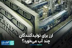 ارز برای تولیدکنندگان چند آب می‌خورد؟