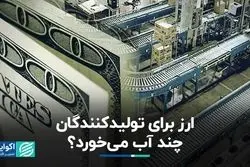 ارز برای تولیدکنندگان چند آب می‌خورد؟