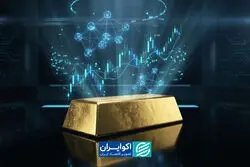 پشتوانه واقعی ارز چیست؟ پاسخ فرهاد نیلی به یک سوءبرداشت رایج