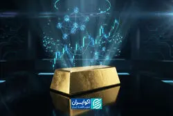پشتوانه واقعی ارز چیست؟ پاسخ فرهاد نیلی به یک سوءبرداشت رایج