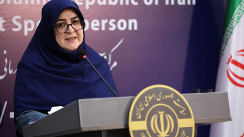 مهاجرانی در پاسخ به اکوایران: همکاری بابک زنجانی و راه‌آهن منع قانونی ندارد 