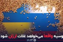 روسیه واقعا می‌خواهد غلات ارزان شود؟