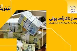 افسار ناکارآمد پولی