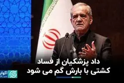 داد پزشکیان از فساد: کشتی با بارش گم می‌شود!