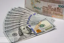 نام غول ارزی کشور لو رفت/ رقم تکان دهنده ارز ترجیحی که این نهاد میگیرد